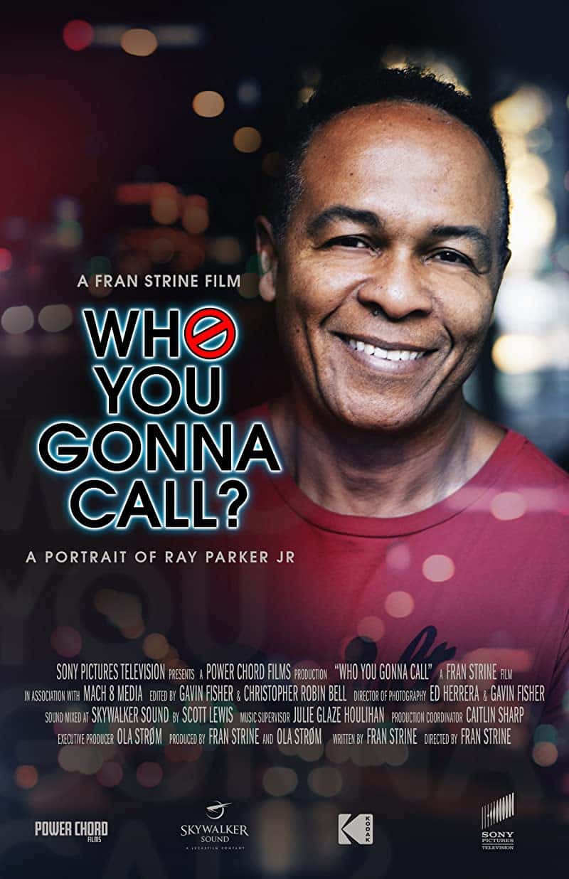 Who You Gonna Call? (2020)