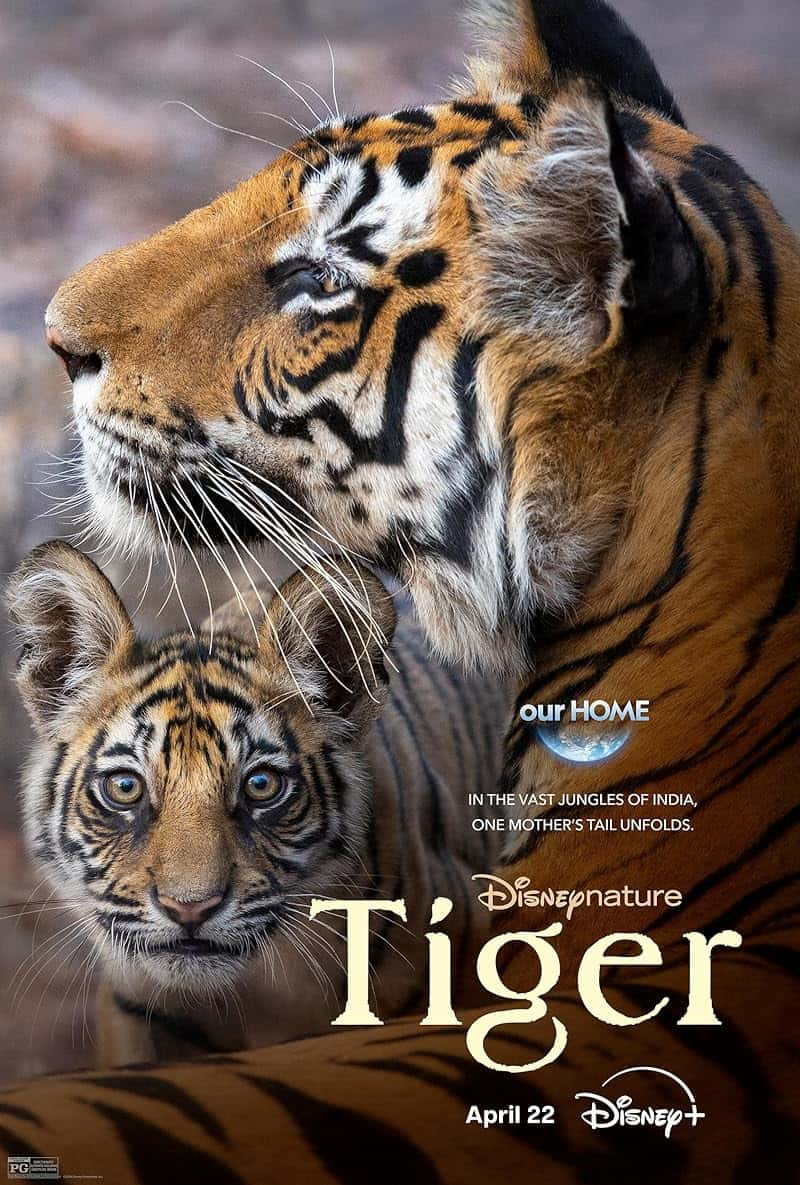 Tiger (2024)