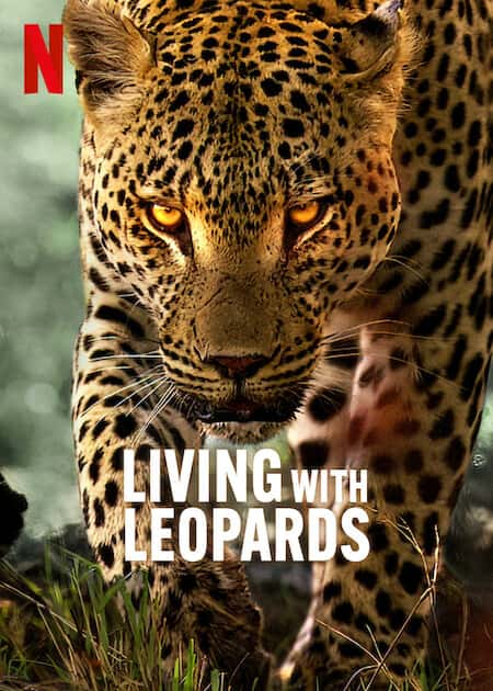 Living with Leopards (2024) อยู่กับเสือดาว