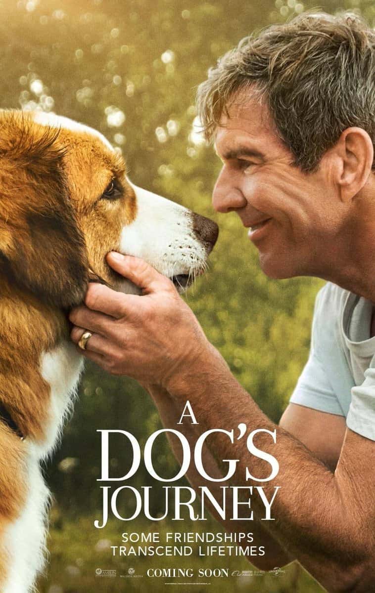 A Dogs Journey (2019) หมา เป้าหมาย และเด็กชายของผม 2 ซับไทย