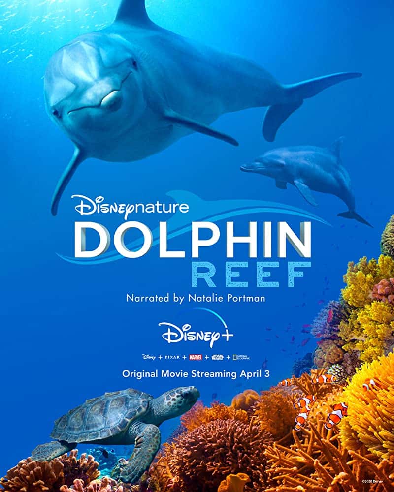 Dolphin Reef (2020) ซับไทย