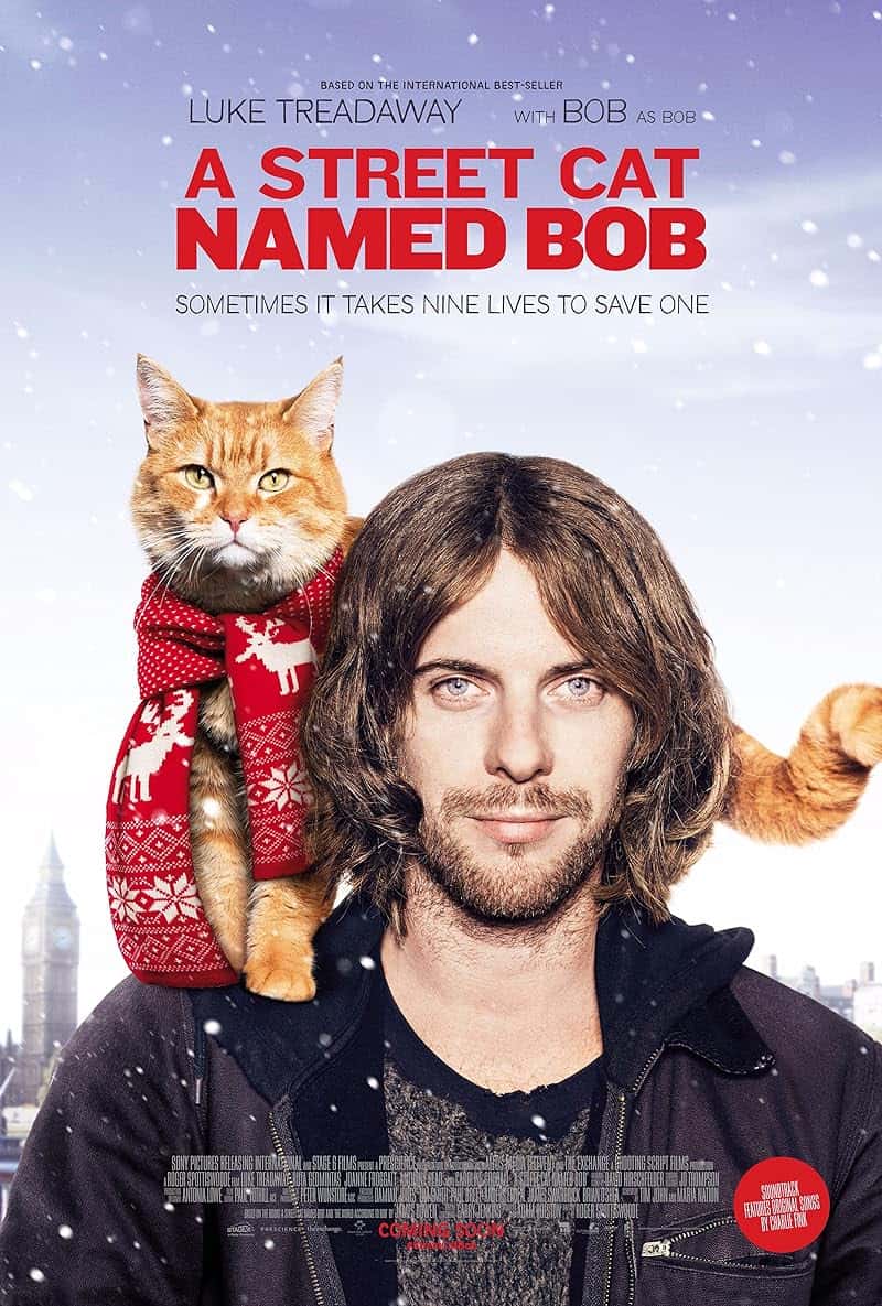 A Street Cat Named Bob (2016) บ๊อบ แมว เพื่อน