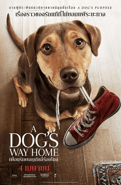 A Dogs Way Home (2019) เพื่อนรักผจญภัยสี่ร้อยไมล์