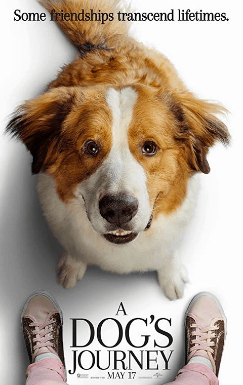 A Dogs Journey (2019) หมา เป้าหมาย และเด็กชายของผม 2 ซับไทย