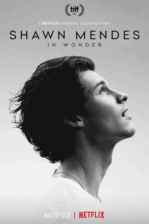 Shawn Mendes In Wonder (2020) ชอว์น เมนเดส ช่วงเวลามหัศจรรย์ ซับไทย