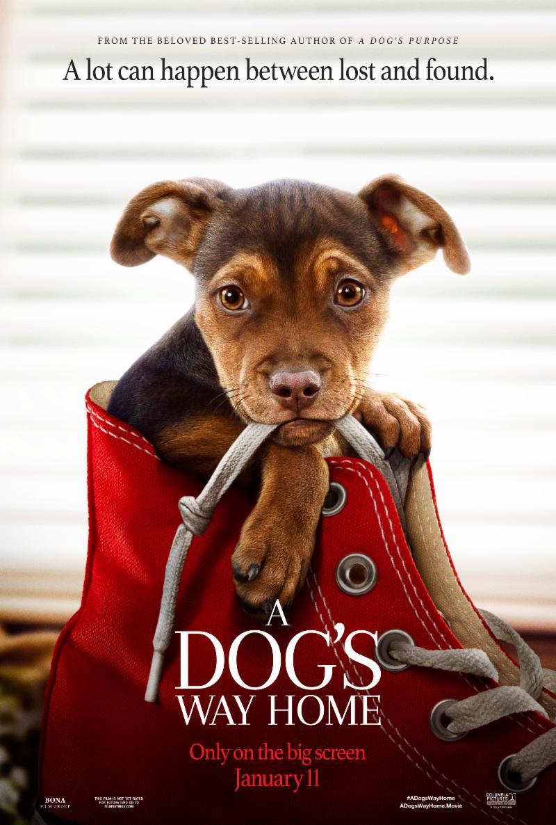 A Dog’s Way Home (2019) เพื่อนรักผจญภัยสี่ร้อยไมล์