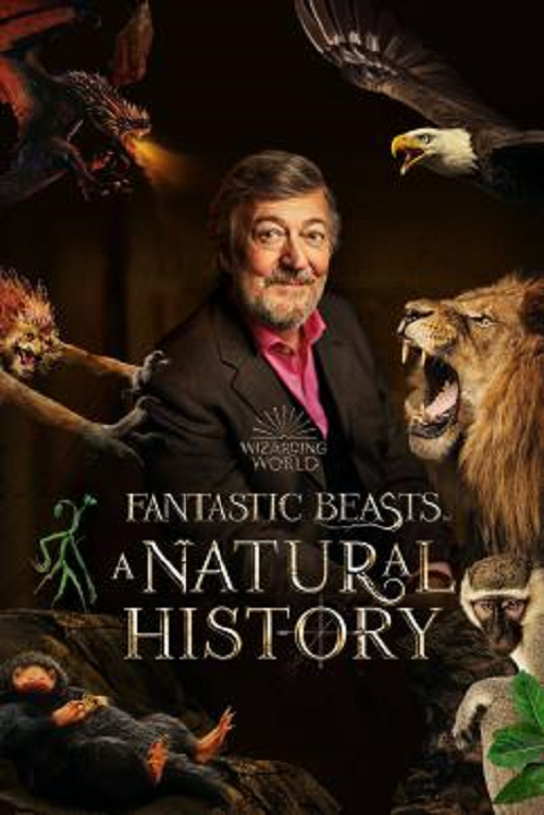 Fantastic Beasts A Natural History (2022)