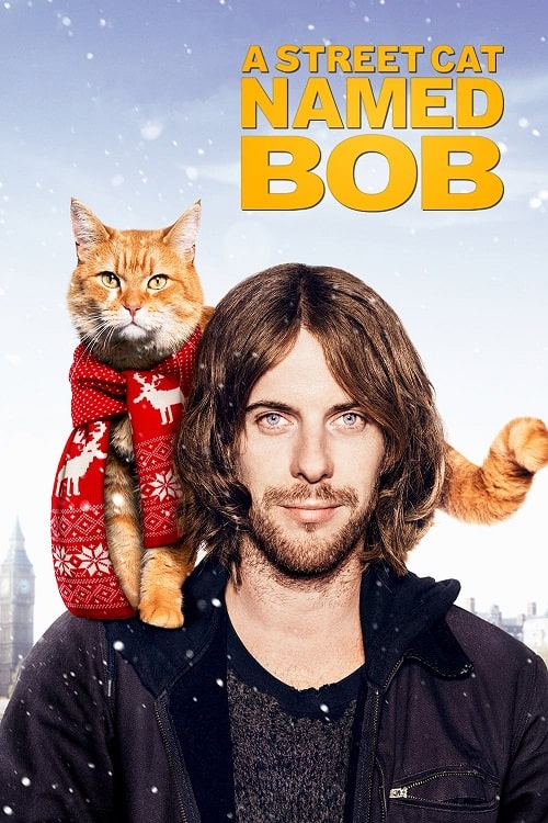 A Street Cat Named Bob (2016) บ๊อบ แมว เพื่อน
