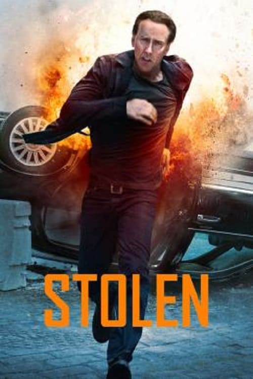 Stolen (2012) คนโคตรระห่ำ