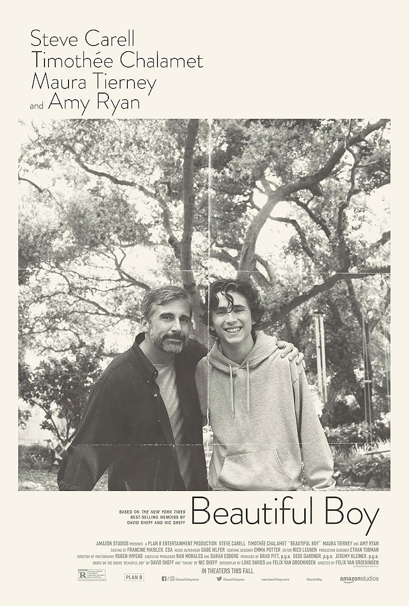 Beautiful Boy (2018) แด่ลูกชายสุดที่รัก