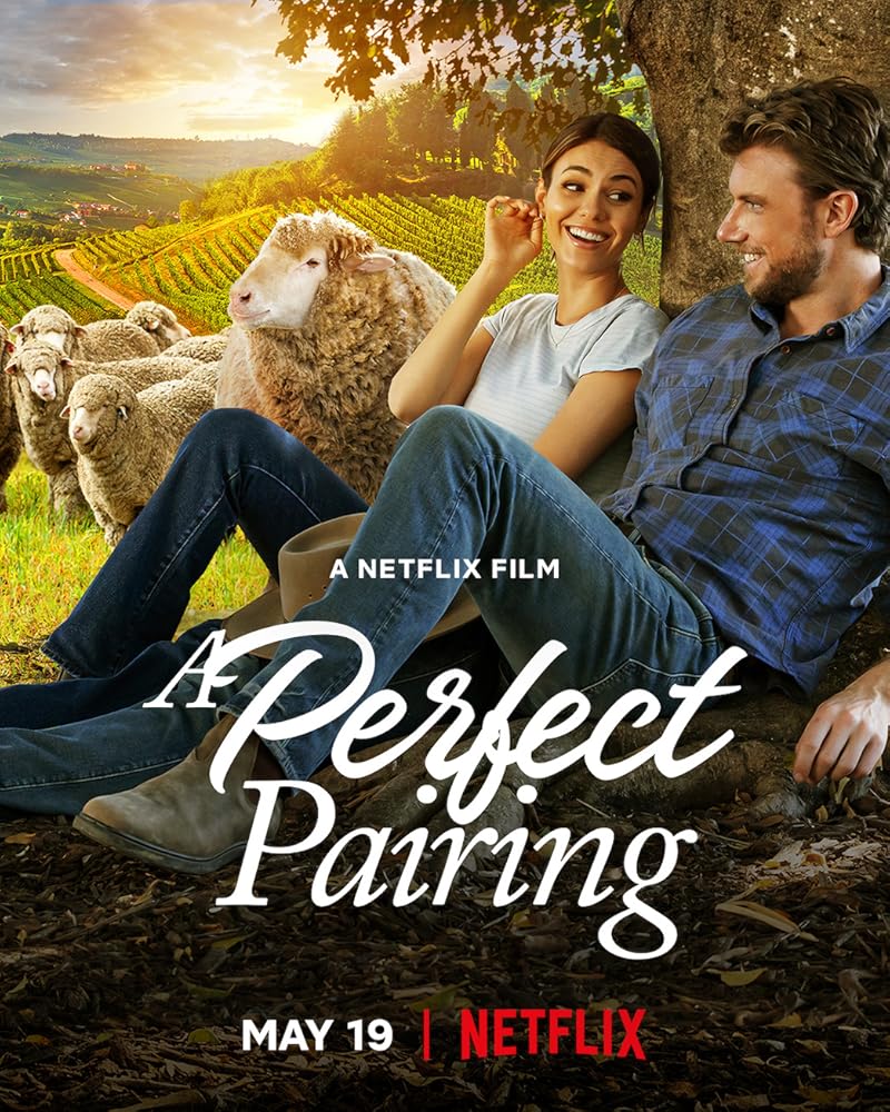 A Perfect Pairing (2022) คู่นี้…คือเพอร์เฟค