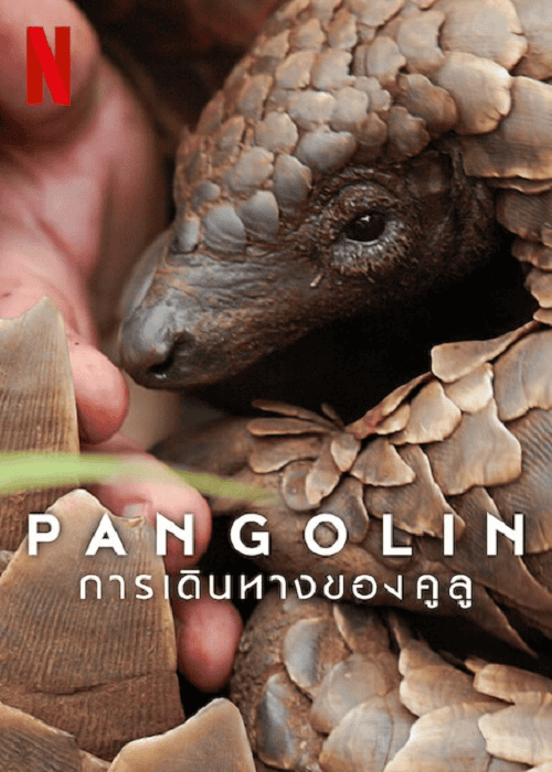 Pangolin Kulu’s Journey (2025) การเดินทางของคูลู